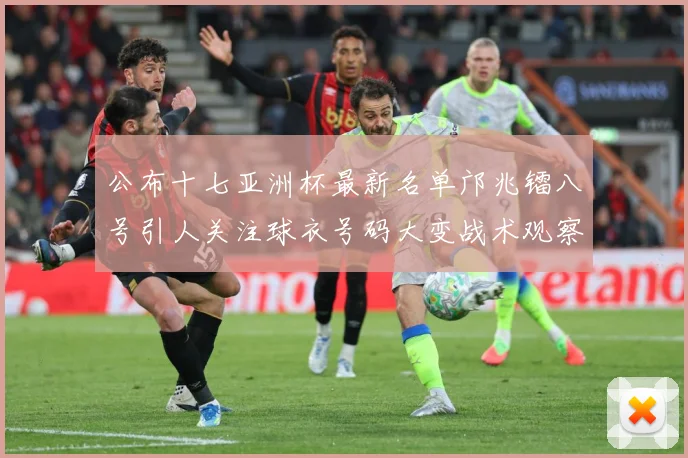 公布十七亚洲杯最新名单邝兆镭八号引人关注球衣号码大变战术观察