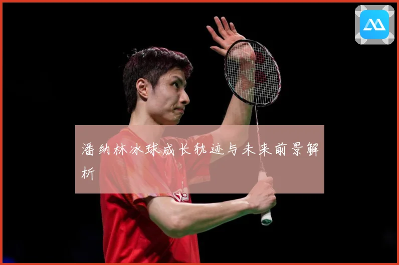 潘纳林冰球成长轨迹与未来前景解析